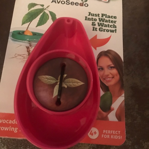 avocado Other - Avocado tree assist